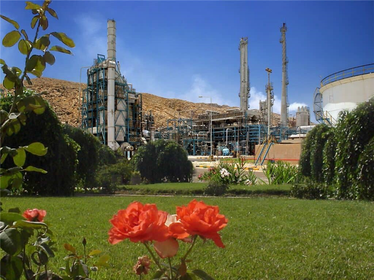 دستاوردهای اجرای پروژه های محیط زیستی در پتروشیمی شیراز تشریح شد.